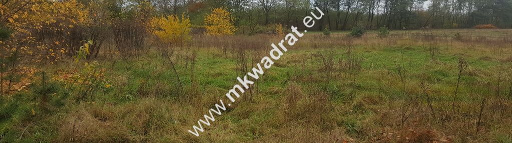 Inwestycyjno-budowlana przy 719 brwinów  wz