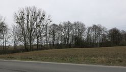 Przęsocin, przy ul. szczecińskiej, pod inwestycję!
