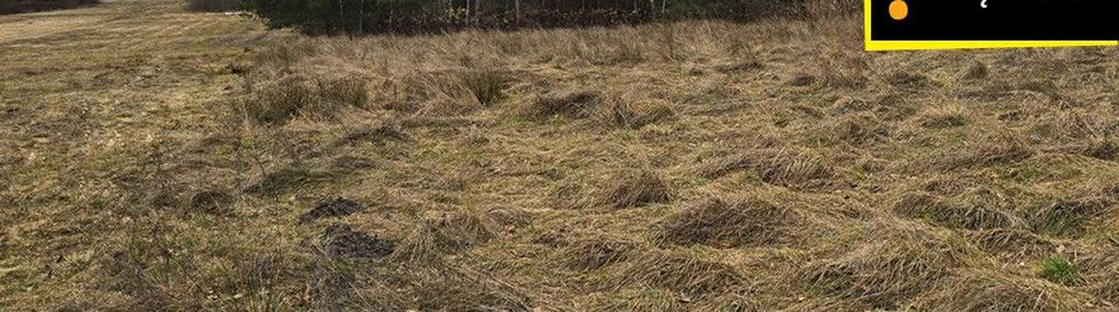 Grunt rolny 3,53 ha w piasku małym koło solca