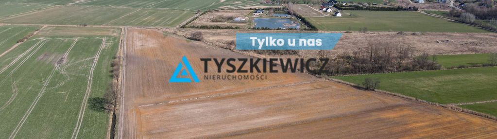 Działka rolna idealna pod uprawy - cisy, malbork