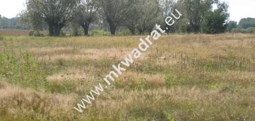 Działka siedliskowa