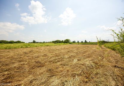 Działka rolna- zaborów- brzesko-małopolska