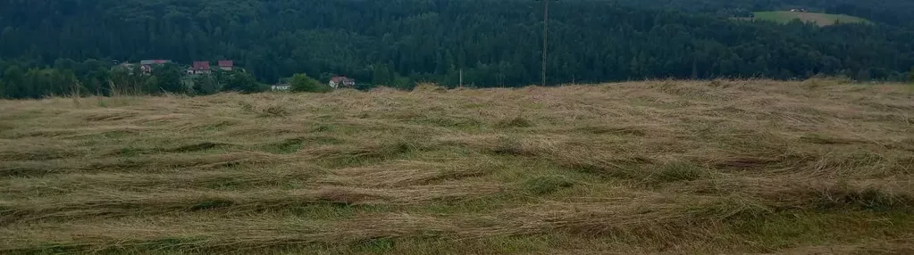 Działka na sprzedaż 1000m2