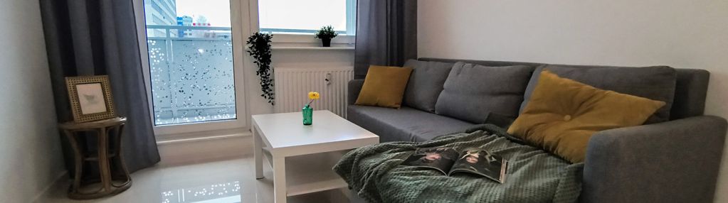 Jasna kawalerka w zielonej części katowic