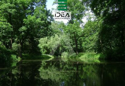 Działki blisko jeziora i lasu 89zł/m2