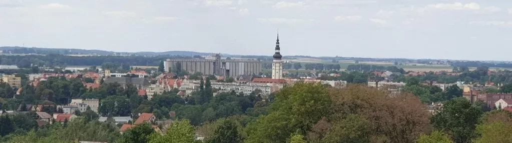 Działka na sprzedaż 1100m2