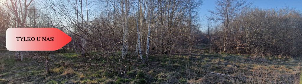 Działka budowlana w nowym bukowcu