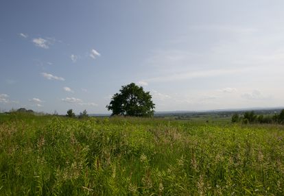 Widokowa działka budowlana łukowa- gm. lisia góra!