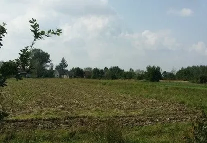 Działka na sprzedaż 7000m2