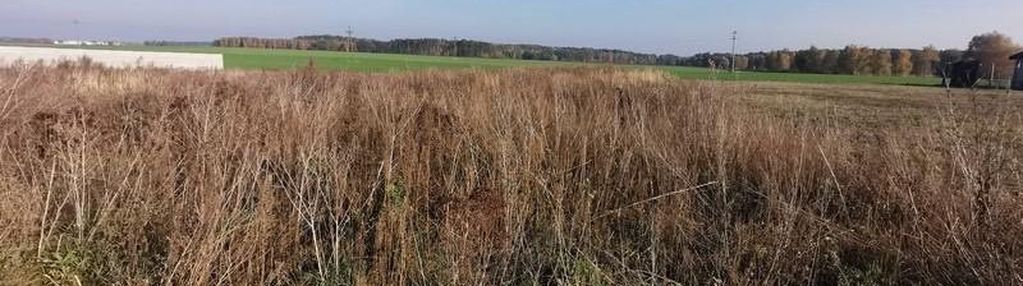 Działka budowlana bartodzieje gm. wągrowiec