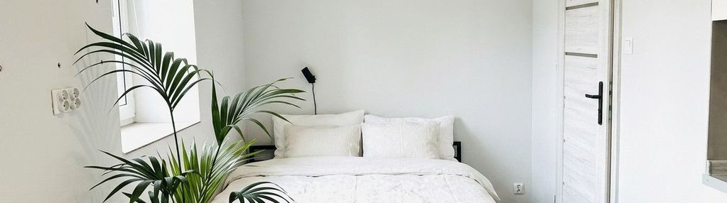 Akceptowalne zwierzęta, szybki dostęp do miasta
