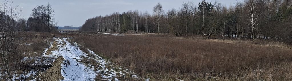 Sprzedaż trzech działek budowlanych– przywory duże