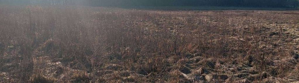 Działki budowlane na sprzedaż/tarnów, gm. lubiszyn