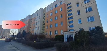 3-pokoje z dużą loggią gotowe do wprowadzenia