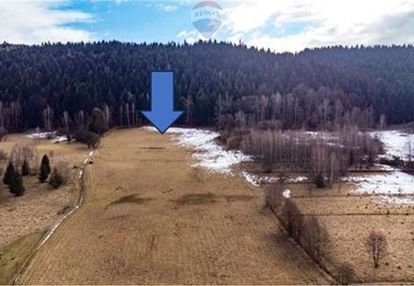 Duża 20 arów z dużym 2 ha prywatnym lasem