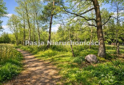 Dziaki w białobrzegach w atrakcyjnej cenie