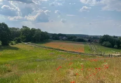 Działka na sprzedaż 1000m2