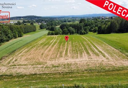 Piękna działka 60a- sławkowice gmina biskupice