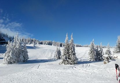 Luksusowy dom w górach do sprzedania