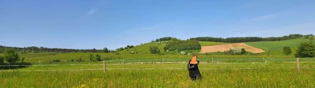 Działka Budowlana Duża Piękne Widoki Wojbórz