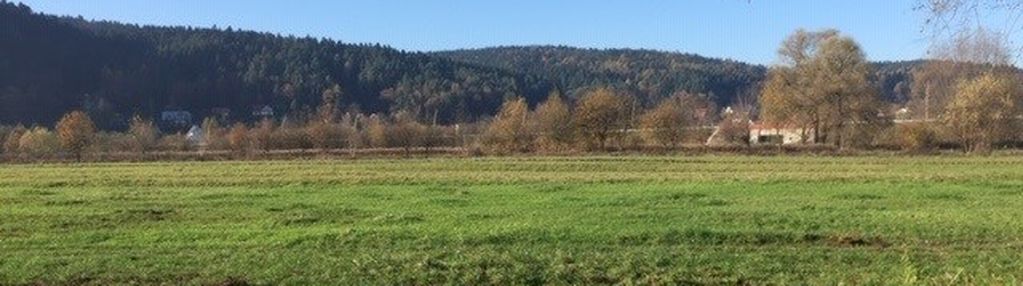 Nowy sącz działka 9674 m2 bud.usługi deweloperska
