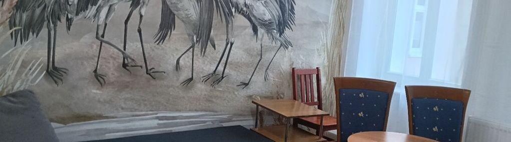 Kawakerka w centrum gorzowa do wynajęcia!