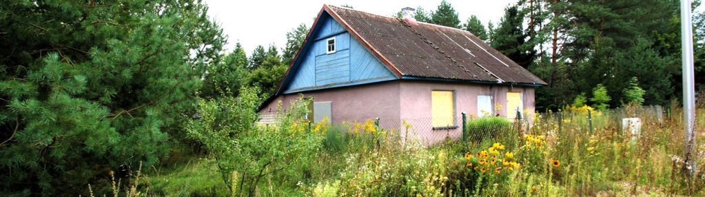 Siedlisko w otulinie puszczy knyszyńskiej