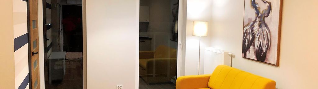 Polesie - do wynajęcia 2 pok. ul. legionów 66