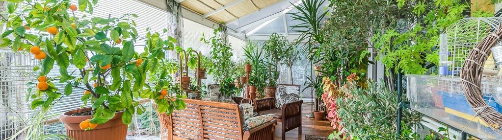 Elegancki i komfortowy dom z dużym ogrodem