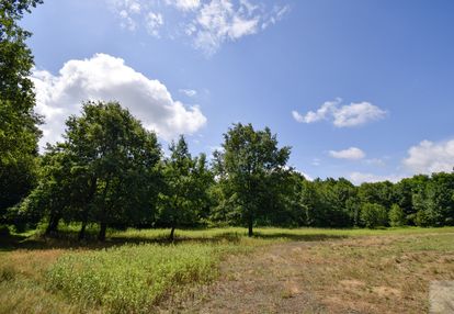 Wyjątkowa działka rolno-leśna z warunkami zabudowy