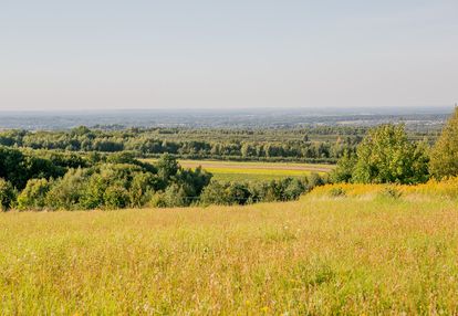 Działka widokowa w miejscowości łysa góra!