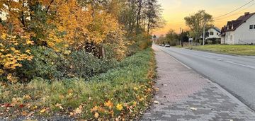 Działka usługowa 3554 m² – wodzisław śląski, dw936