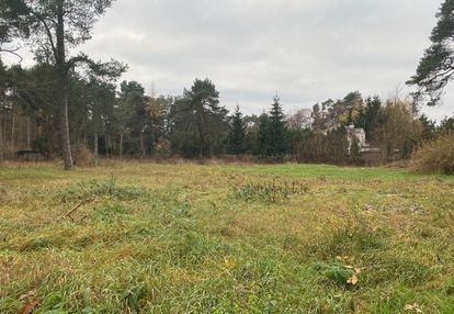 Strefa b, pełna słońca, niezabudowana