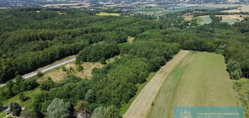 Widokowa działka 68 ar będziemyśl-20km od rzeszowa