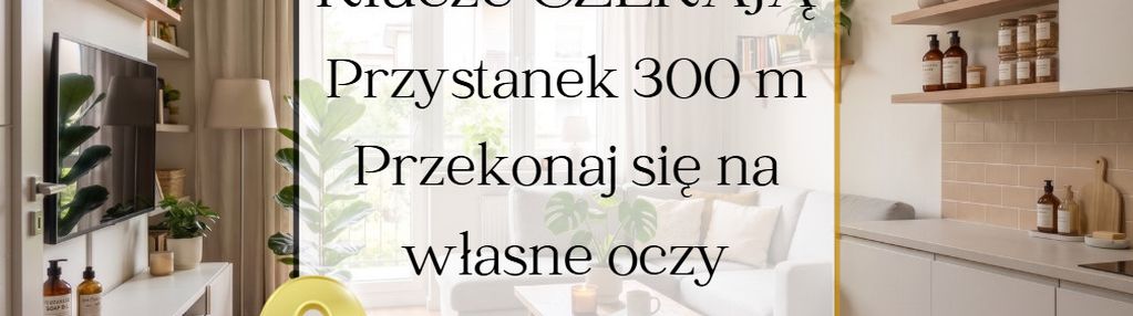 ⭐gotowe⭐umów się na spotkanie⭐15 min rynek⭐