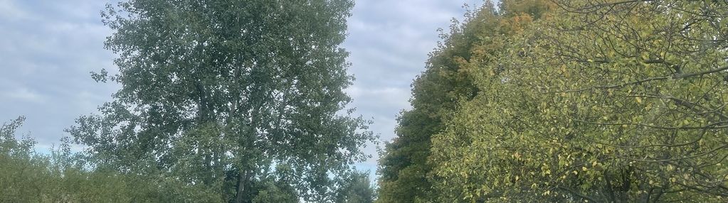 Działka budowlana 800 m² z dojazdem z dwóch stron