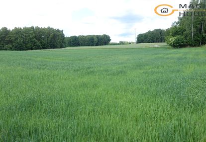 Działka budowlana z pozwoleniem – kowalew