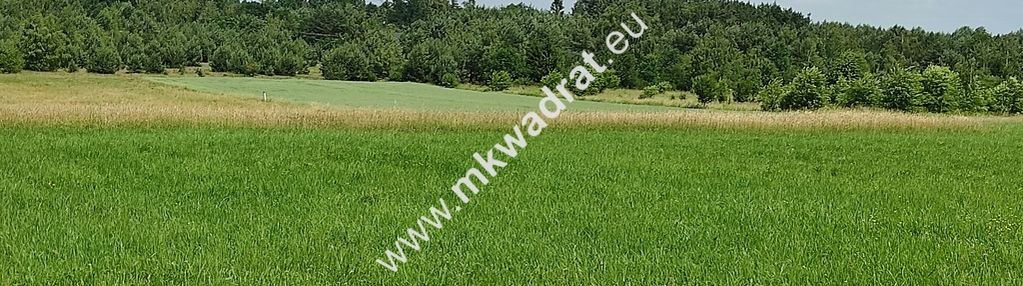 Wyjątkowa działka rolna do podziału na budowlane!