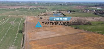 Działka rolna idealna pod uprawy - cisy, malbork