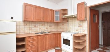 Dwupokojowe mieszkanie w ścisłym centrum zasanie