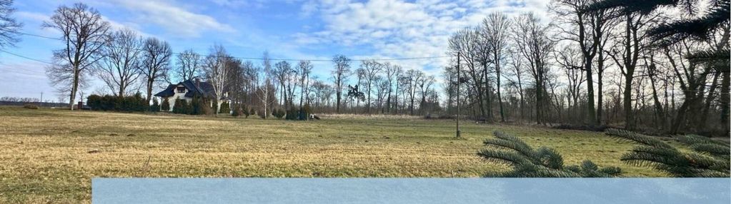 Biestrzykowice przy ul. lipowej 8200 m2