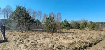 Działka na sprzedaż 1256m2