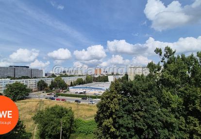 Spokój i słońce, 3 pokoje, krzyki