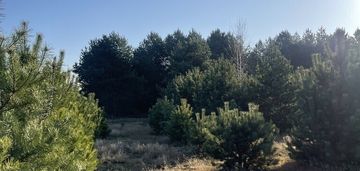 Działka o pow.6883 m² w zielonej okolicy.