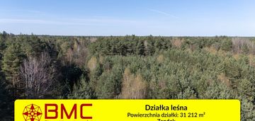Działka leśna zendek