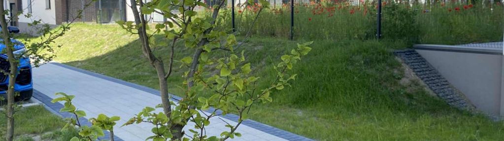 Dużo światła, dwustronne, narożne. wysoki parter