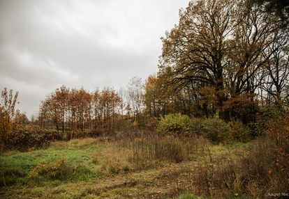 Atrakcyjna działka budowlana 31a z możliwością pod