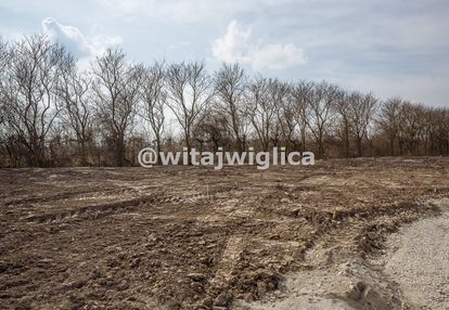Działka budowlane we wsi kryniczno