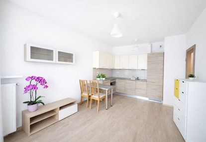 Nowość na żoliborzu artystycznym