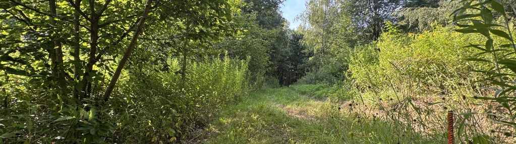 Duża działka z lasem , ponad 1,80 ha